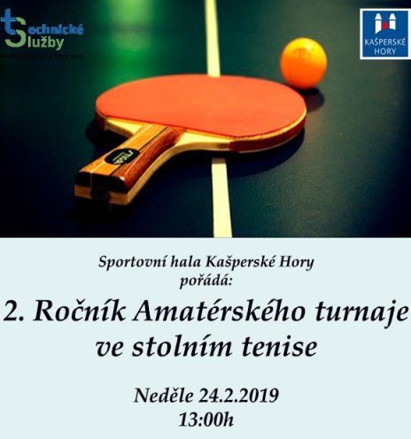 2. Ročník Amatérského turnaje ve stolním tenise